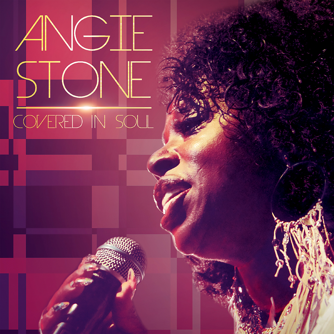  Album cover for Angie Stone 2016. 